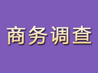 上甘岭商务调查